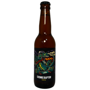 HOPPY ROAD COSMIC 7°5 33CL